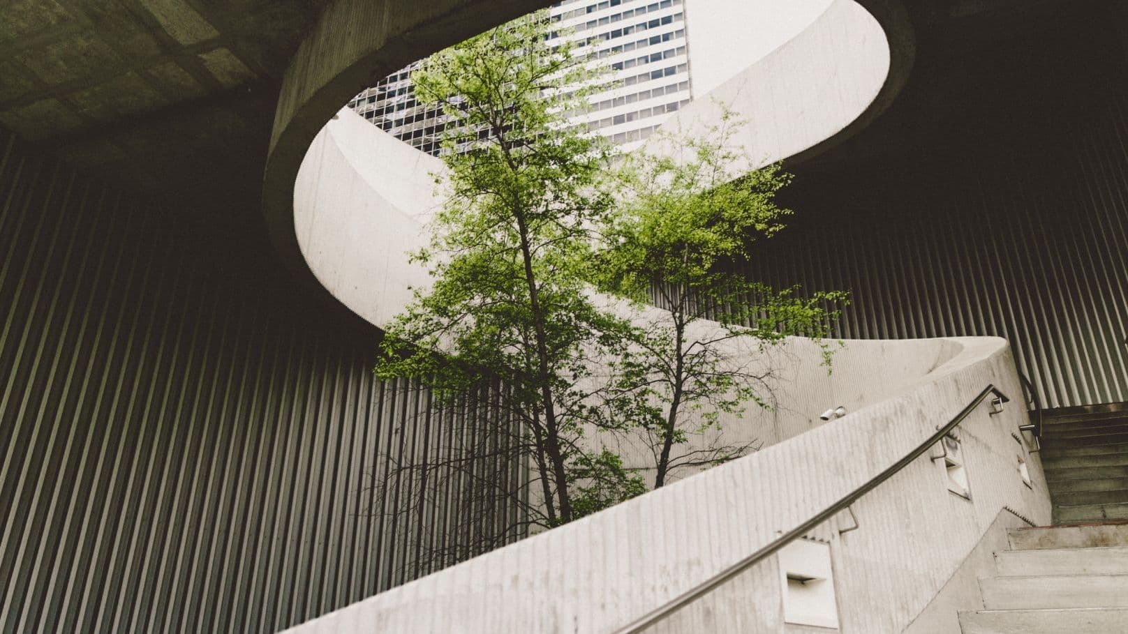 Modern architectural interior with a curved concrete wall and a tree